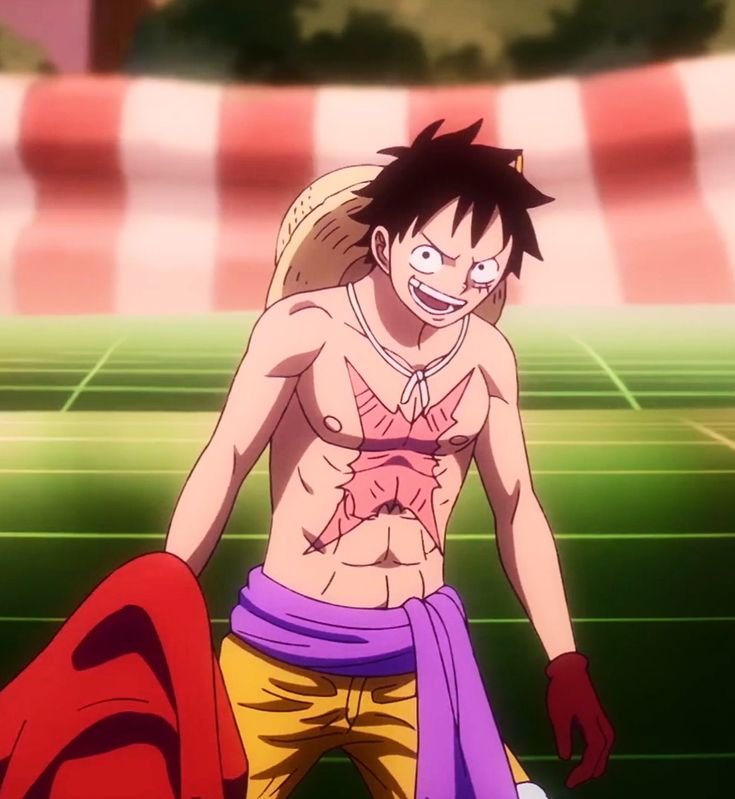 Monkey D. Luffy — Image 15